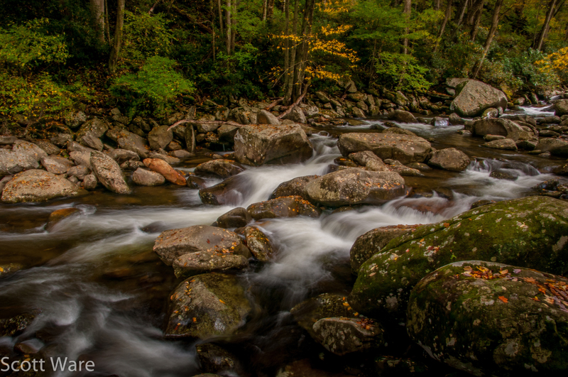 Little River, Elkmont Campground