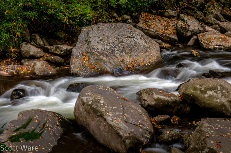 Little River, Elkmont Campground