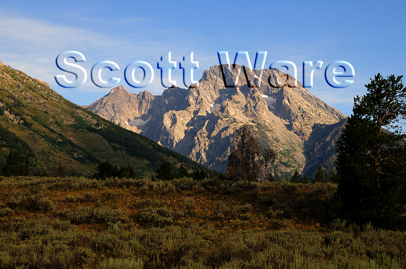 Mt. Moran