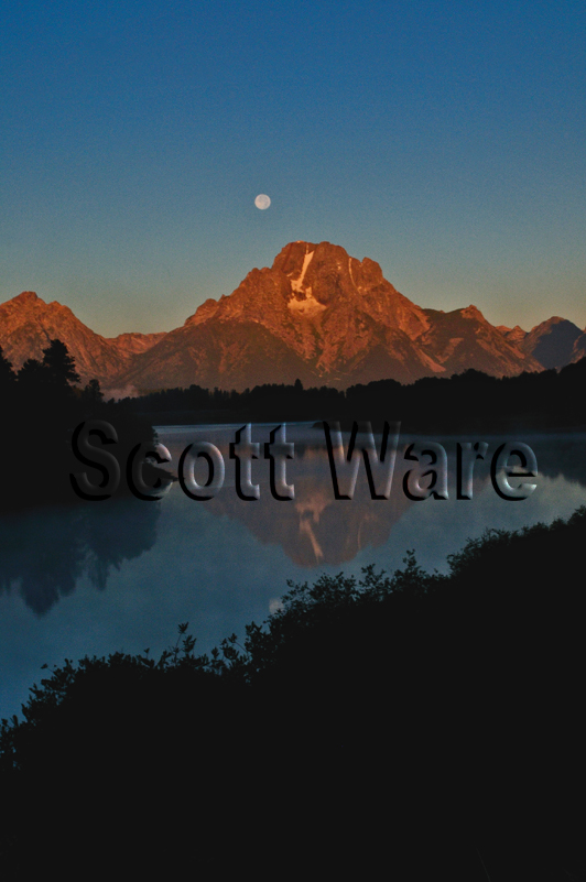 Mt. Moran