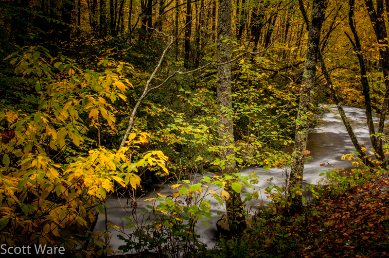 Oconaluftee River