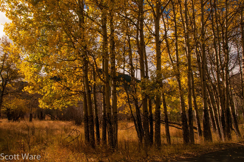 Old Fall River Road