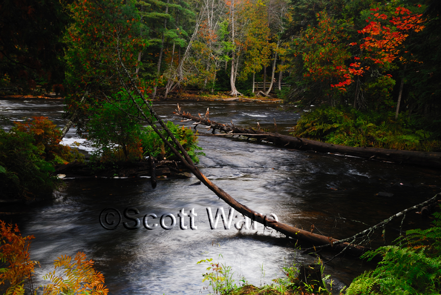 Lower Tahquamenon Waterfalls