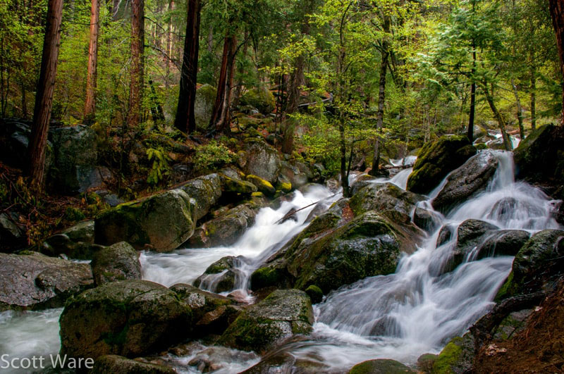 Tamarack Creek Falls