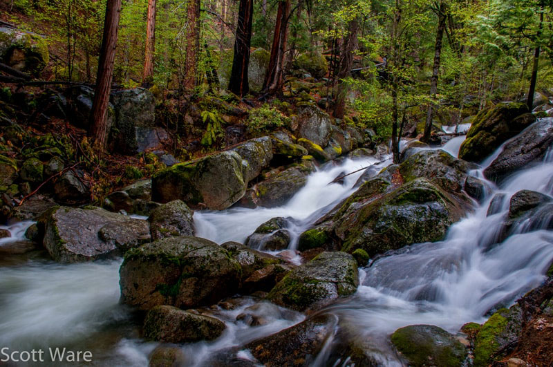 Tamarack Creek Falls