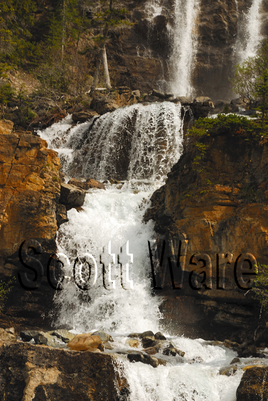 Tangle Falls