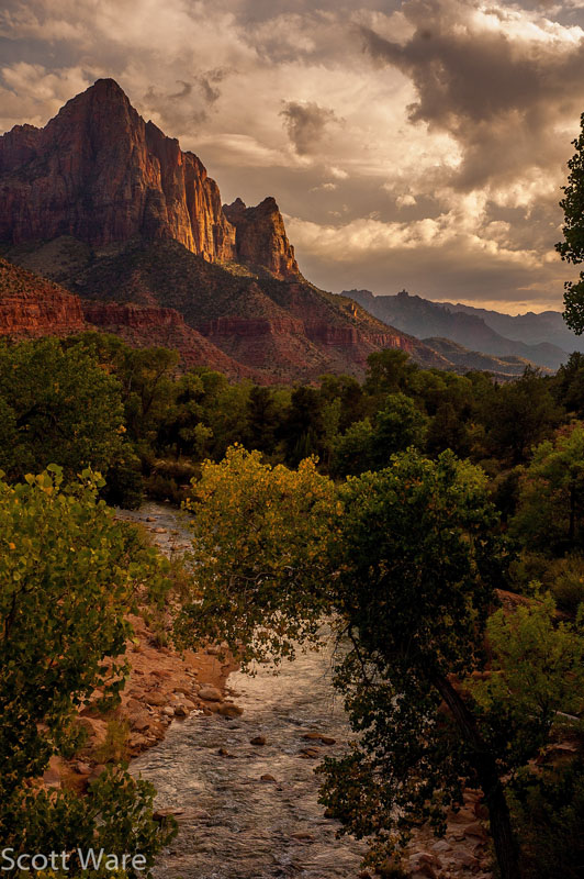 The Watchman