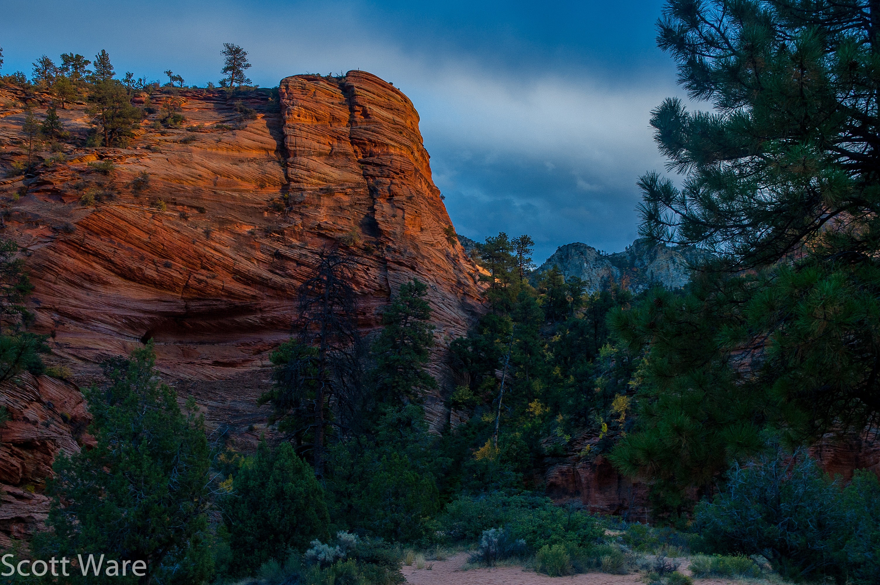 Zion