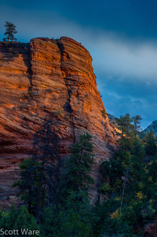 Zion