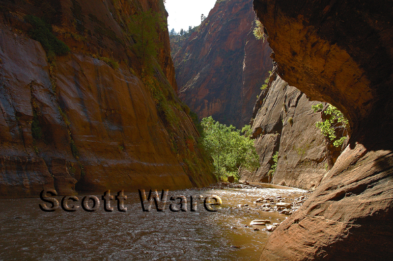 The Narrows